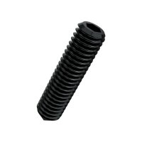 Gewindestifte In-6Kt und Spitze ISO 4027-45H M4x5 | 100...