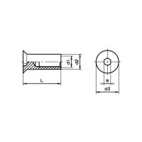 Senk-Hülsenmuttern SW 4 Stahl verzinkt blau M6x20 |...
