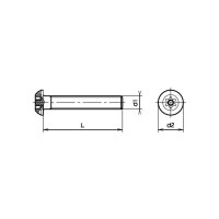 Linsen-Sicherheitsschrauben RESISTORX-rostfrei A2 M4x12 | 100 Stück je Packung