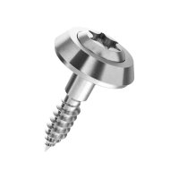 Linsensenk-Fassadenschrauben mit Cuvette u.Scheibe T A2...