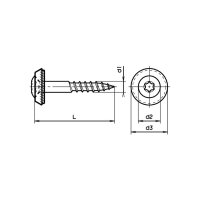 Linsensenk-Fassadenschrauben mit Cuvette u.Scheibe T A2...