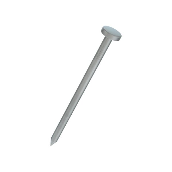 bestaPAC Drahtstift Flachkopf feuerverzinkt 1.4x20 | 5 Stück je Packung