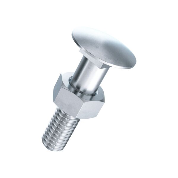 bestaPAC Flachrundschraube mit Mutter verzinkt M5x25 | 5 Stück je Packung