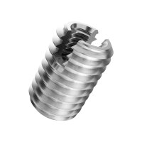 RAMPA Gewindebuchsen Typ ESK rostfrei A2 M5x14 | 100...