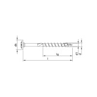 HECO-TOPIX-plus Tellerkopf T-40 10,0 x 400, znb | 50 Stück je Packung