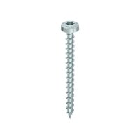 HECO-TOPIX-plus Rundkopf T-30 6,0 x 50, znb | 200...