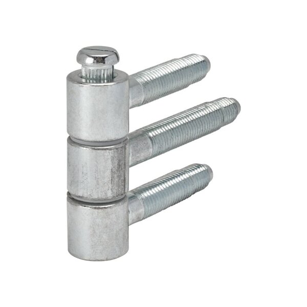 Sassba Einbohrband 3-tlg. Rahmen C16R Edelstahl matt | 20 Stück je Packung