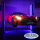 LED-Beleuchtung (LED-KIT) für 2-Säulen-Hebebühnen - TWLED-2