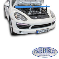 Motorbrücke - 500kg - TWSMB