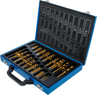 Spiralbohrer-Satz | HSS | titan-nitriert | 1 - 10 mm | 170-tlg.