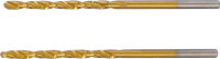 Spiralbohrer | HSS-G | titan-nitriert | 2,5 mm | 2-tlg.