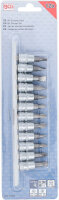 Bit-Einsatz-Satz | Antrieb Innenvierkant 6,3 mm (1/4") | Schlitz, Kreuzschlitz PH, Kreuzschlitz PZ | 12-tlg.