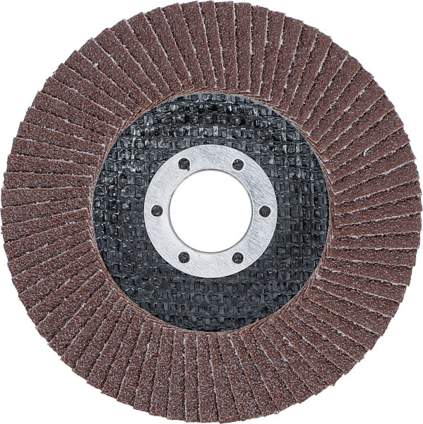 Fächer-Schleif-Scheibe | Ø 115 mm | K 80