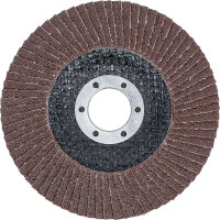 Fächer-Schleif-Scheibe | Ø 115 mm | K 80