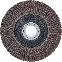 Fächer-Schleif-Scheibe | Ø 125 mm | K 40