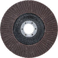 Fächer-Schleif-Scheibe | Ø 125 mm | K 80