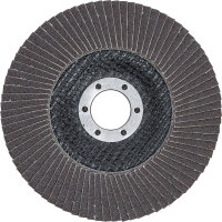 Fächer-Schleif-Scheibe | Ø 125 mm | K 120