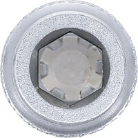 Bit-Einsatz | Antrieb Innenvierkant 12,5 mm (1/2") | Keil-Profil (für RIBE) M10