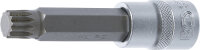 Bit-Einsatz | Länge 100 mm | Antrieb Innenvierkant...
