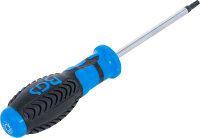 Schraubendreher | T-Profil (für Torx) T25 | Klingenlänge 100 mm