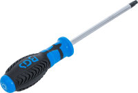 Schraubendreher | T-Profil (für Torx) T40 | Klingenlänge 150 mm