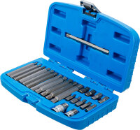 Bit-Satz | Antrieb Außensechskant 10 mm (3/8") | Keil-Profil (für Ribe) | 22-tlg.