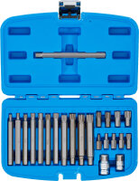 Bit-Satz | Antrieb Außensechskant 10 mm (3/8") | Keil-Profil (für Ribe) | 22-tlg.