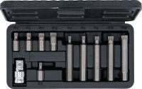 Bit-Satz | Antrieb Außensechskant 10 mm (3/8") | Innenvielzahn (für XZN) | 11-tlg.
