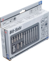 Bit-Satz | Antrieb Außensechskant 10 mm (3/8") | T-Profil (für Torx) | 15-tlg.