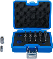 Bit-Satz | TS-Profil (für Torx Plus) | 23-tlg.