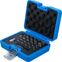 Bit-Satz | TS-Profil (für Torx Plus) | 23-tlg.