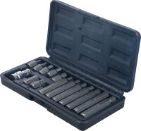 Bit-Satz | Antrieb Außensechskant 10 mm (3/8") | Innensechskant 15-tlg.