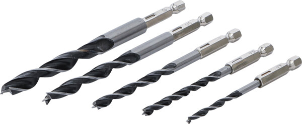 Holzbohrer-Satz | 4 - 10 mm | Sechskantantrieb | 5-tlg.