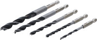 Holzbohrer-Satz | 4 - 10 mm | Sechskantantrieb | 5-tlg.