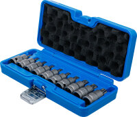 Kraft-Bit-Einsatz-Satz | Antrieb Innenvierkant 12,5 mm (1/2") | T-Profil (für Torx) T20 - T70 | 10-tlg.