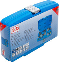 Bit-Einsatz-Satz | Antrieb Innenvierkant 6,3 mm (1/4") / 12,5 mm (1/2") | Innensechskant | 18-tlg.