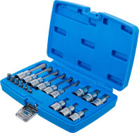 Bit-Einsatz-Satz | Antrieb Innenvierkant 6,3 mm (1/4") / 12,5 mm (1/2") | Innensechskant | 18-tlg.