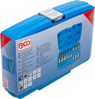 Bit-Einsatz-Satz | Antrieb Innenvierkant 6,3 mm (1/4") / 12,5 mm (1/2") | Innenvielzahn (für XZN) | 18-tlg.