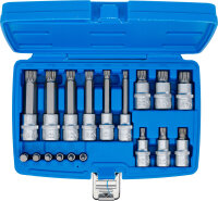 Bit-Einsatz-Satz | Antrieb Innenvierkant 6,3 mm (1/4") / 12,5 mm (1/2") | Innenvielzahn (für XZN) | 18-tlg.