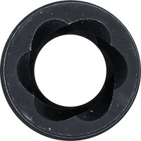 Spiral-Profil-Steckschlüssel-Einsatz /...