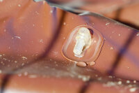 Bewässerungsring | 55 l