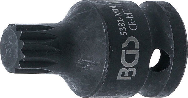 Kraft-Bit-Einsatz | Länge 43 mm | Antrieb Innenvierkant 12,5 mm (1/2") | Innenvielzahn (für XZN) M14