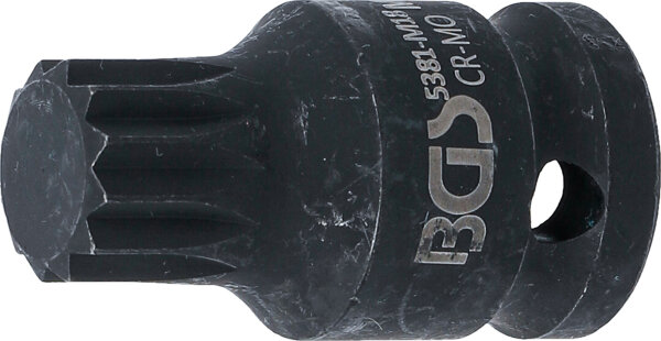 Kraft-Bit-Einsatz | Länge 43 mm | Antrieb Innenvierkant 12,5 mm (1/2") | Innenvielzahn (für XZN) M18