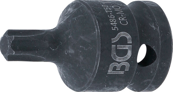 Kraft-Bit-Einsatz | Länge 42 mm | Antrieb Innenvierkant 12,5 mm (1/2") | T-Profil (für Torx) T50