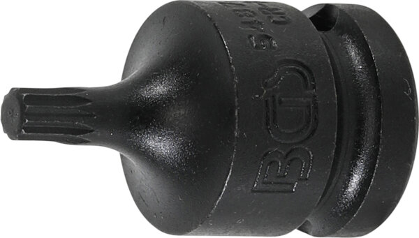 Kraft-Bit-Einsatz | Länge 43 mm | Antrieb Innenvierkant 12,5 mm (1/2") | Innenvielzahn (für XZN) M6