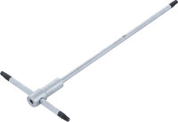 Schraubendreher mit T-Gleitgriff | T-Profil (für Torx) | T25