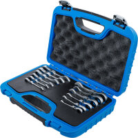 Ratschenring-Maulschlüssel-Satz | kurz | abwinkelbar | SW 8 - 19 mm | 12-tlg.