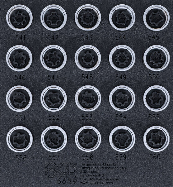 Werkstattwageneinlage 1/6: Felgenschloss-Werkzeug-Satz für VAG | 20-tlg.