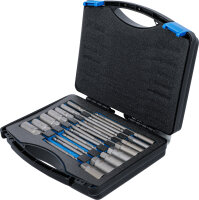 Steckschlüssel-Einsatz-Satz, Sechskant | extra lang | Antrieb Außensechskant 6,3 mm (1/4") | für Bohrmaschinen | SW 5,5 - 19 mm | 15-tlg.