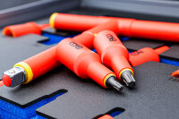 Werkstattwageneinlage 2/3: VDE-Bit-Einsatz-Satz | Antrieb Innenvierkant 12,5 mm (1/2") | T-Profil (für Torx) T20 - T55 | 10-tlg.